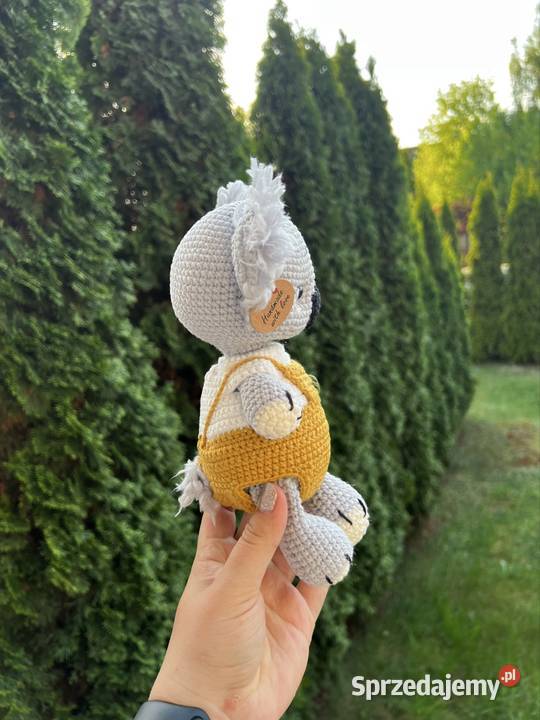 Koala Plewiska
