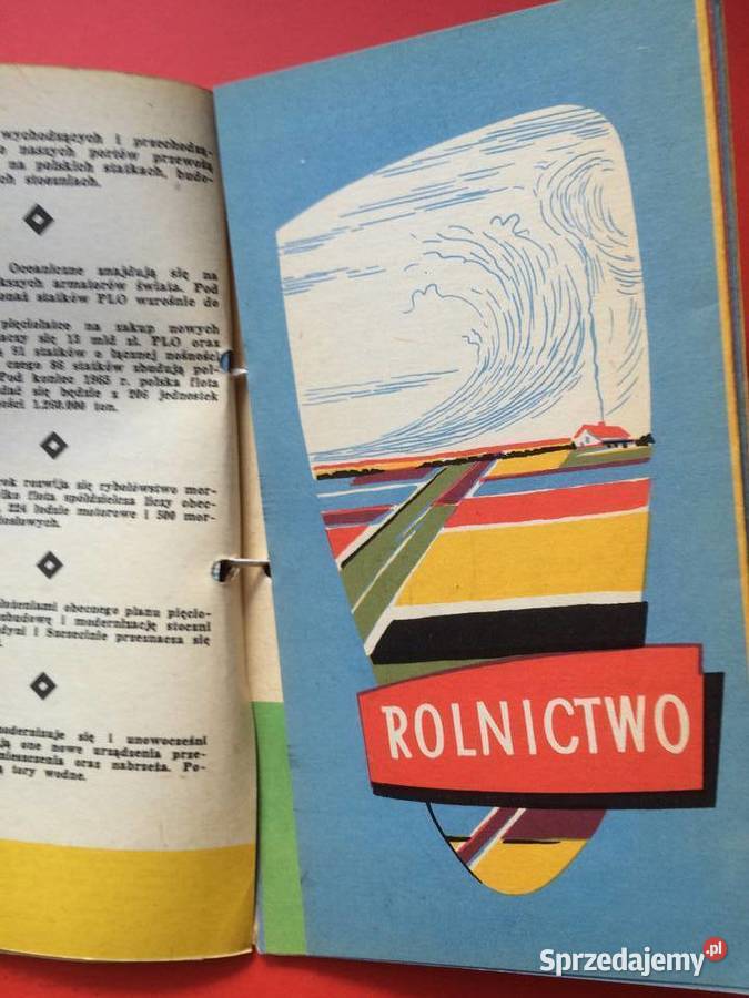 2569 Informator Frontu Jedności Narodowej Szczecin sprzedam