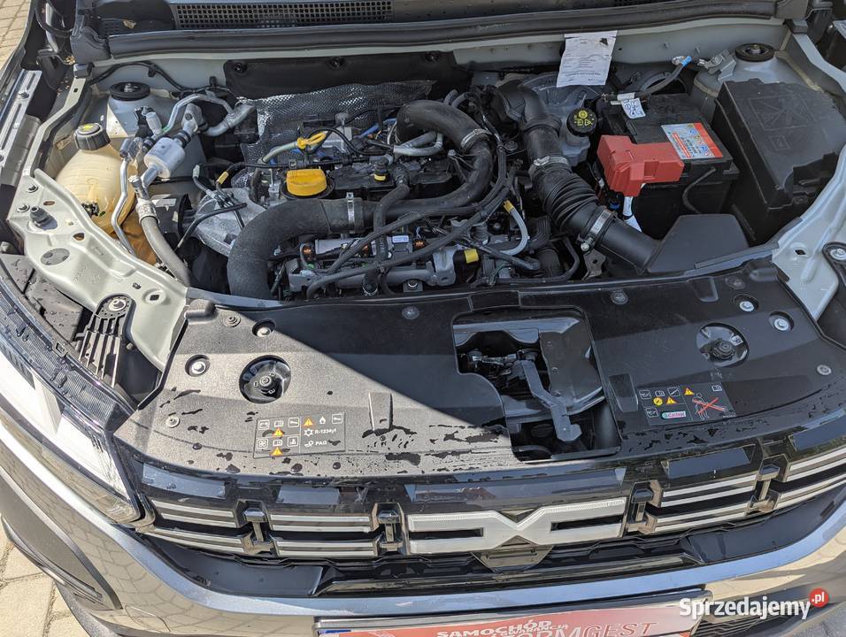 Jogerr 10 z LPG 7 osob łódzkie Ozorków