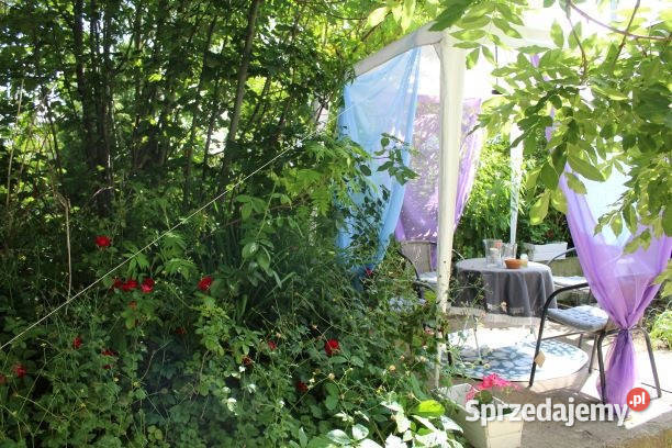Posesja bezpośrednio granicząca z rzeczką Czech wolnostojący Krzanowice sprzedam