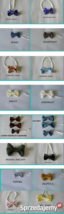 Mucha Muszki muszkadziecięca 310 lat niebieski Koło sprzedam