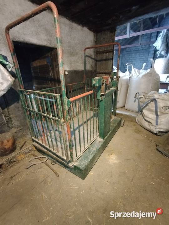 Waga inwentarzowa Białobrzegi