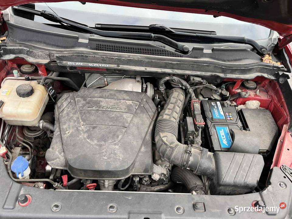 SsangYong Korando lubelskie Bychawa