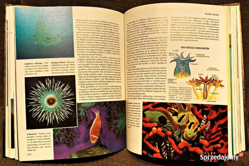 Encyklopedia Niezwykłe miejsca niezwykłe krainy Książki naukowe i popularnonaukowe