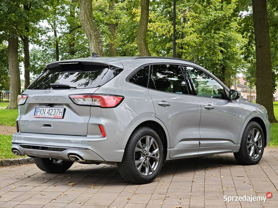 Ford Kuga III 2019 Sadlno