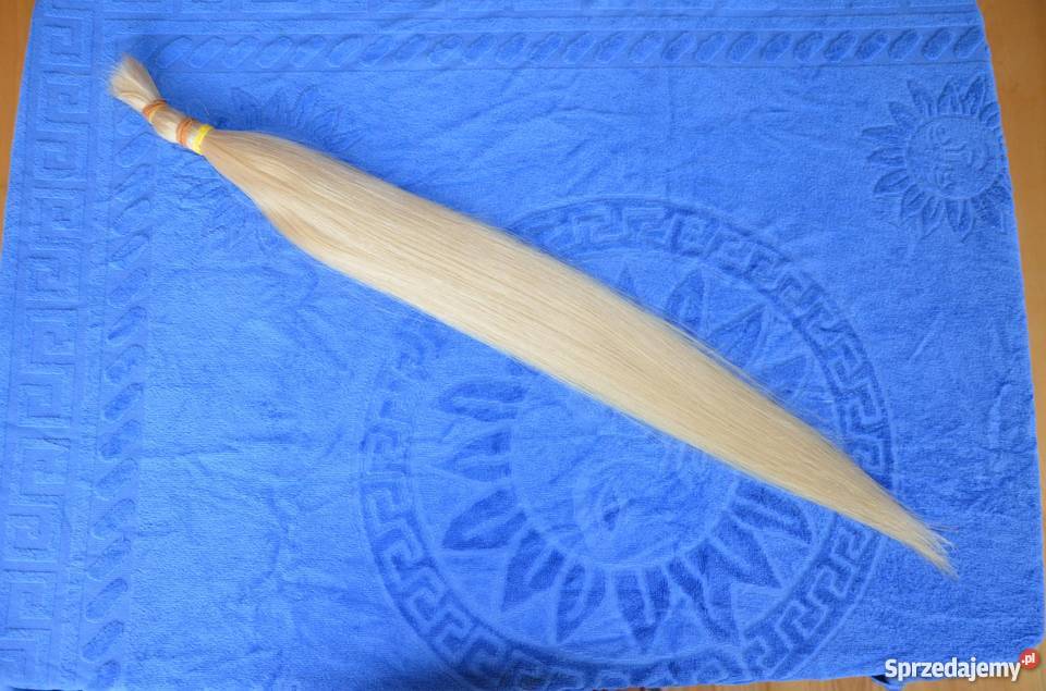 Włosy słowiańskie i dziewicze 114 g 65 Wrocław sprzedam