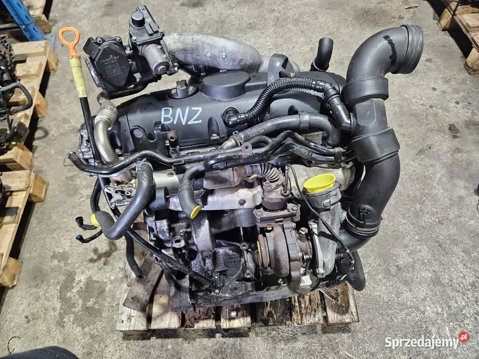 Uszkodzony Silnik BNZ 25 TDI osobowe dolnośląskie Zgorzelec sprzedam