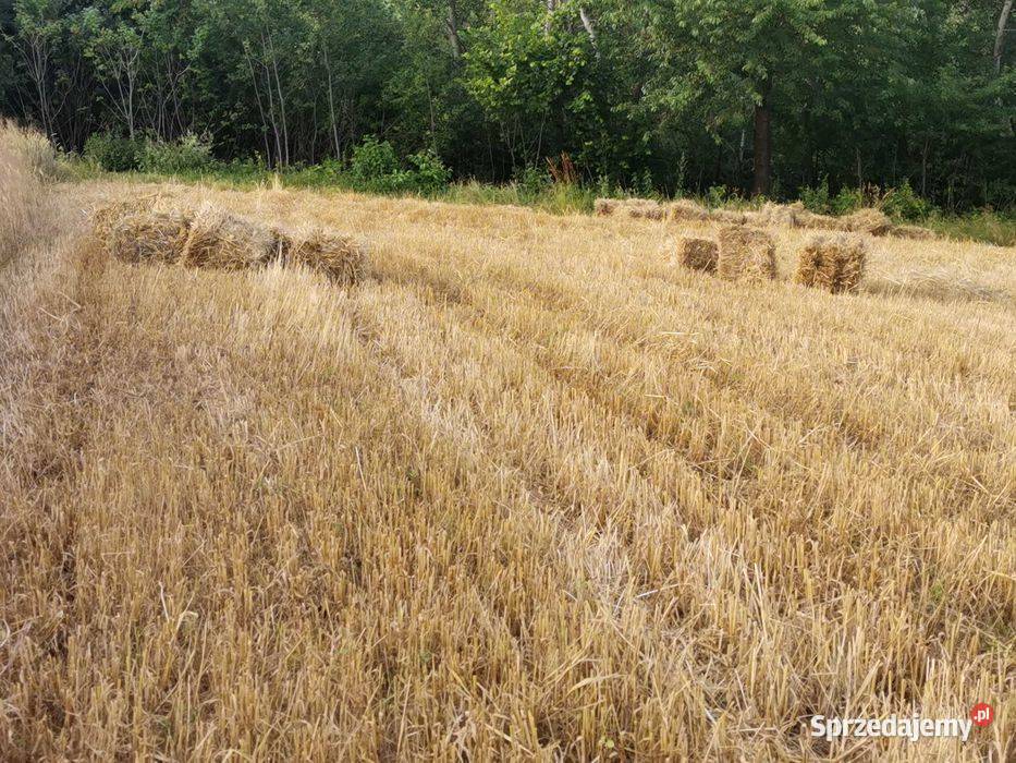 Słoma kostka 2024 Głobikowa