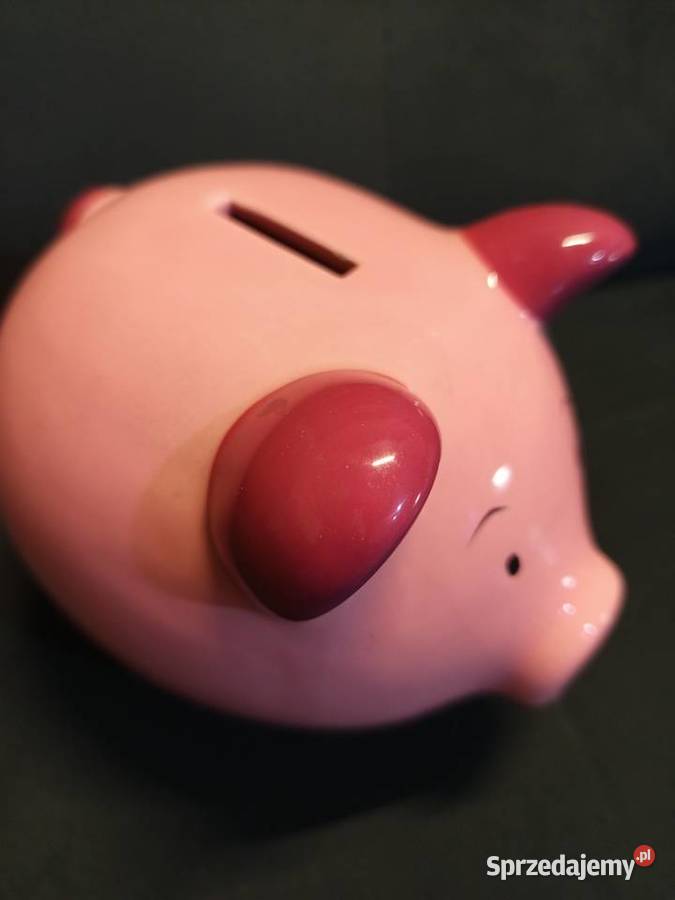 Urocz ceramiczna skarbonka różowej świnki gumową mazowieckie Warszawa sprzedam
