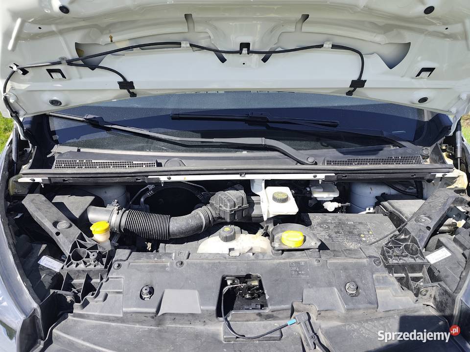 Renault Trafic Trafic Kostarowce sprzedam