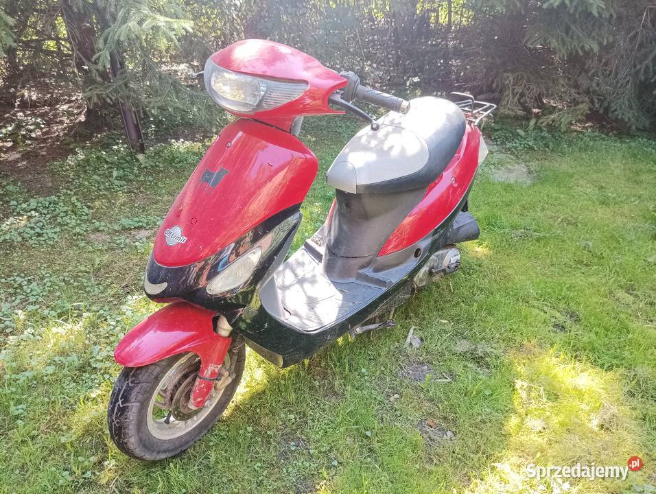 Skuter pomorskie
