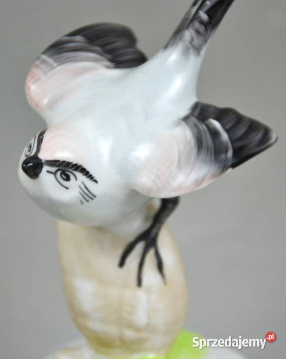 Ptak na szyszce Aquincum Budapeszt Węgry lata mazowieckie Pomiechówek