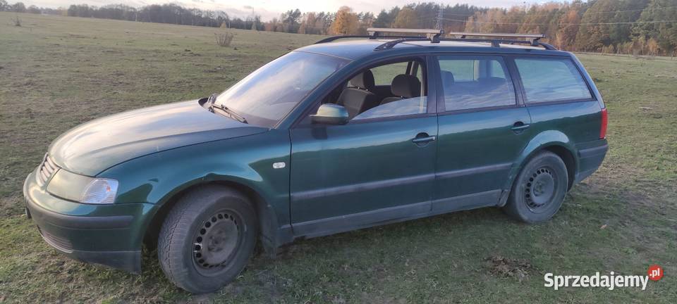 Pastuch 18 gas Szczytno