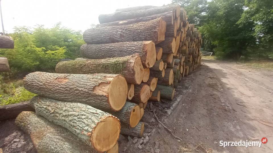Sprzedam DĄB S2B 12mb Zgierz