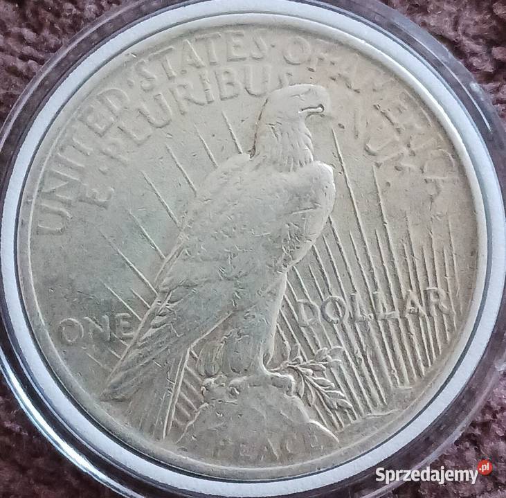 1 Dolar USA Peace Liberty 1923 r Oryginał wielkopolskie Konin sprzedam