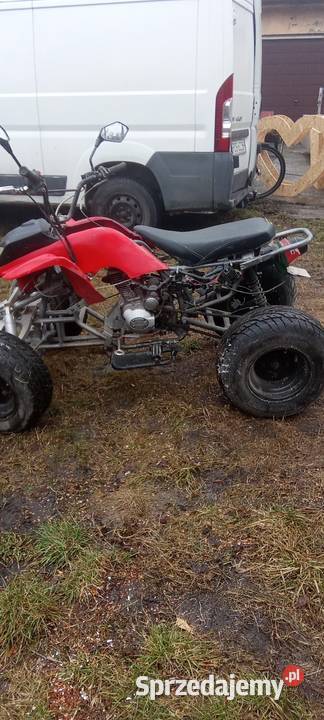 Sprzedam kłada Bashan 250 Nowe Skalmierzyce