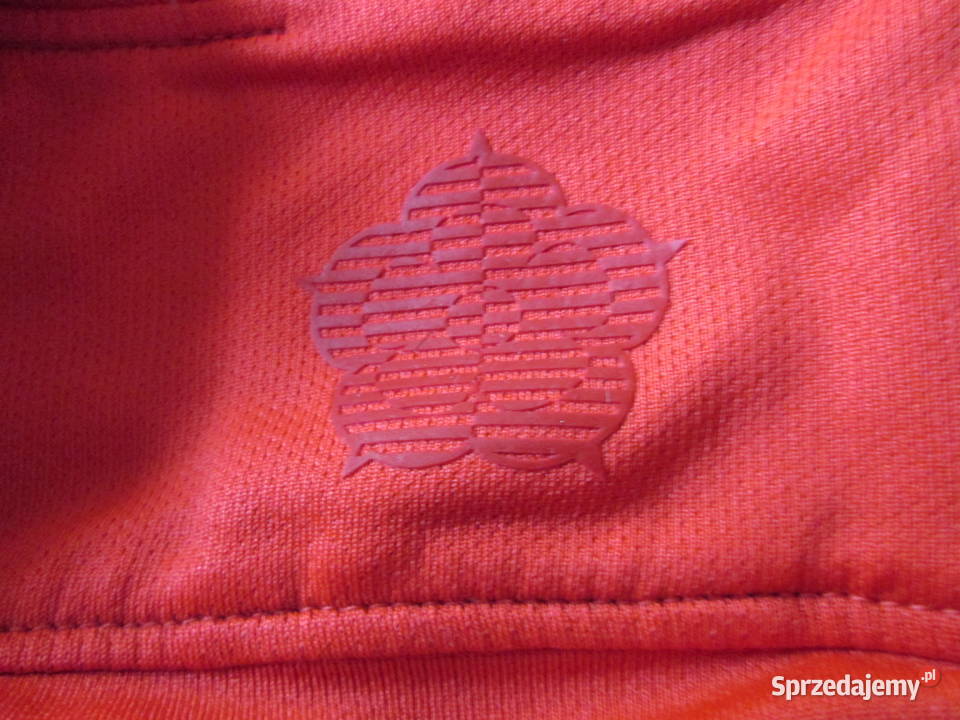 ANGLIA 2018 2019 Nike L UNIKAT dolnośląskie