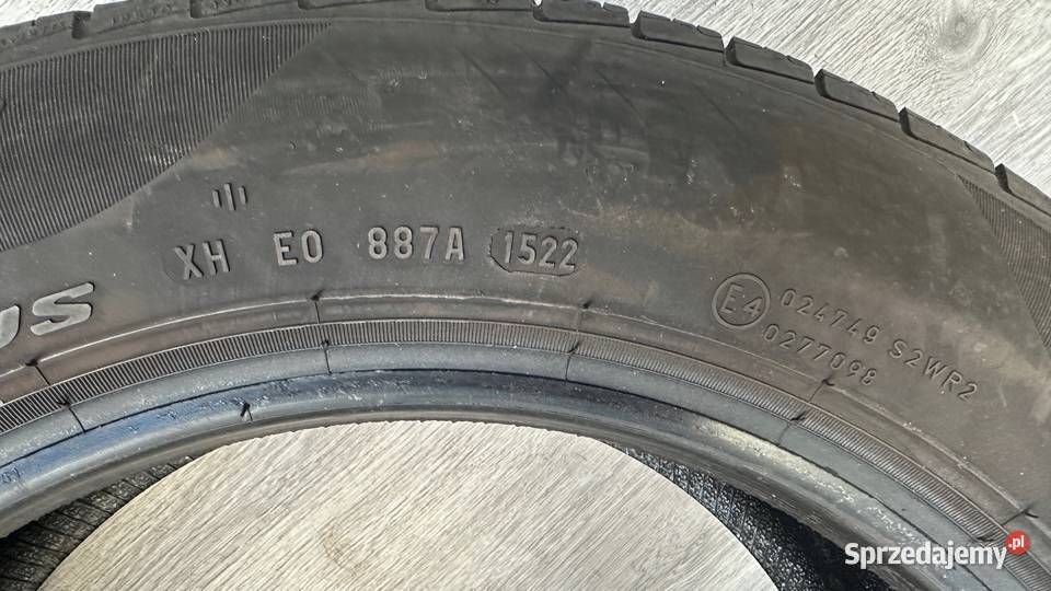 Opona całoroczna Pirelli Cinturato All Season Gorzów Wielkopolski