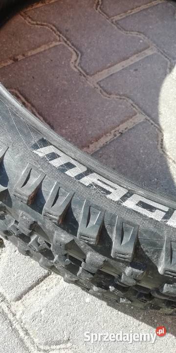 Magic Mary Schwalbe 2 opony 26 26 Siemianowice Śląskie sprzedam