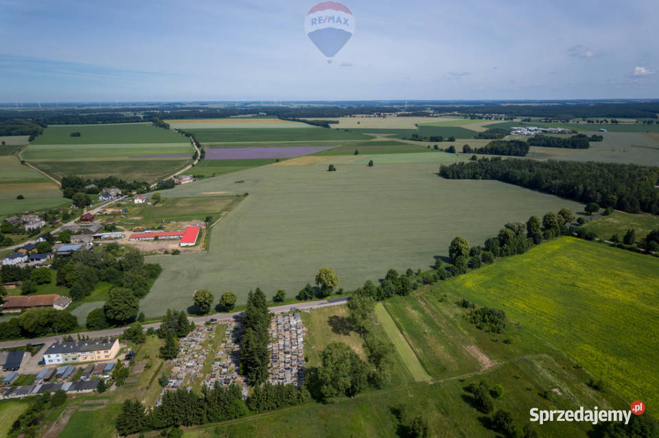 901 ha MPZP produkcja logistyka 1 S7 Białuty sprzedam