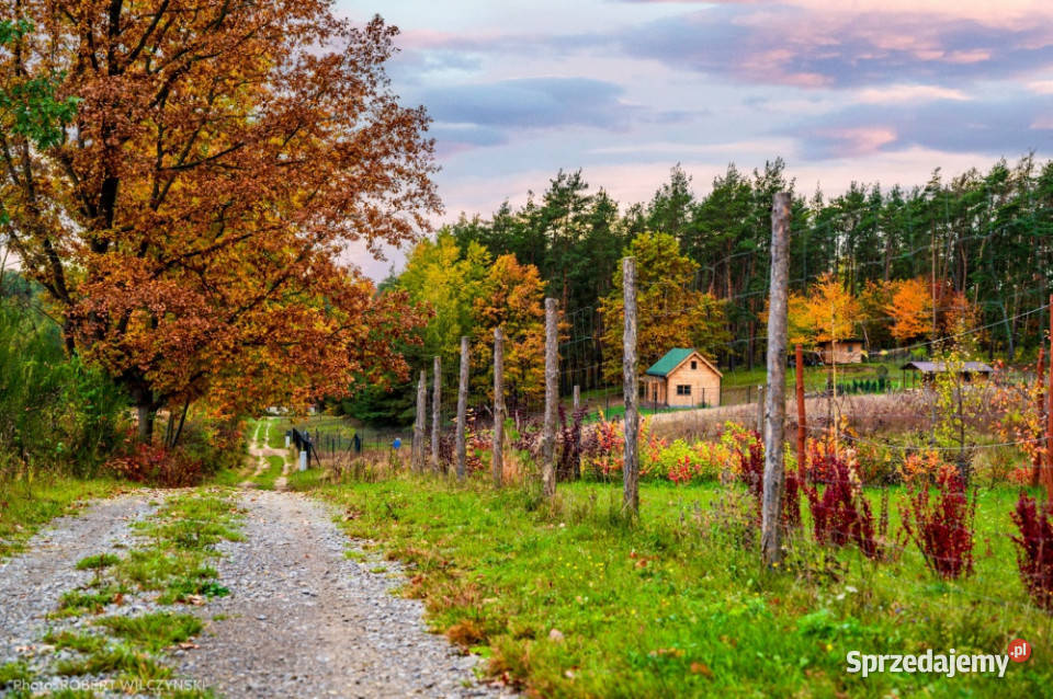 Mazowsze działka marzeń na wzgórzu las i cisza Jeziórka sprzedam