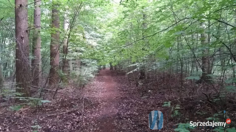 Mieszkanie Rumia Kamienna 50m2 2pok