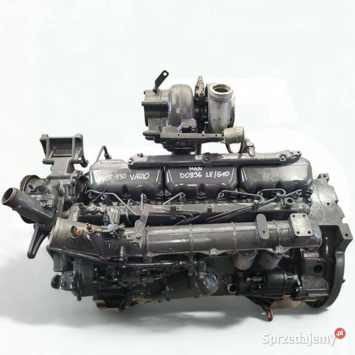 MAN D0836 LE 510 Wilkowo