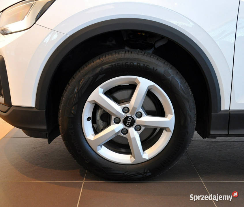 Audi Q2 30TFSI 116 Led Bluetooth Klimatronic Kielce