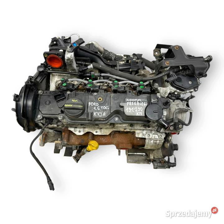 SILNIK KVJA Ford Fiesta VII MK7 14 TDCI 70 Chełm