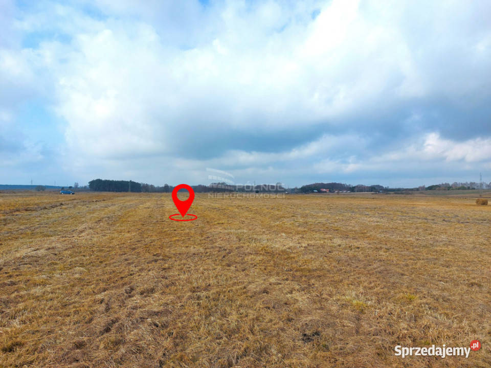 Łąka Horbów Kolonia gm Zalesie pow bialski