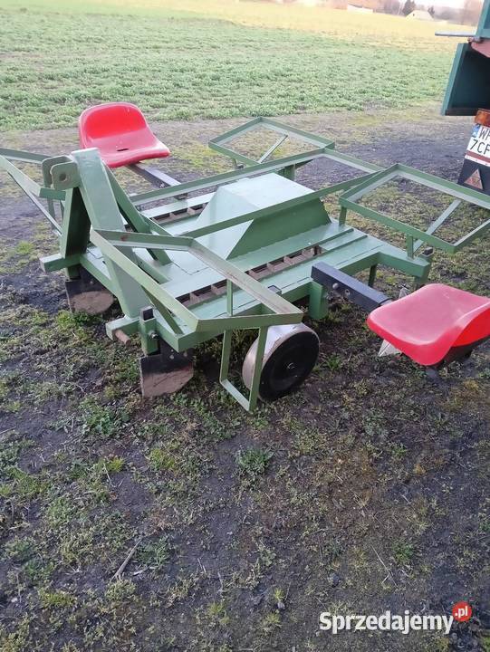 Sadzarka do ziemniaków podkiełkowanych Płońsk