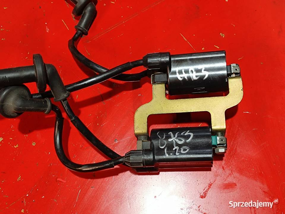 HONDA HORNET 600 PC25 03 cewka cewki fajki