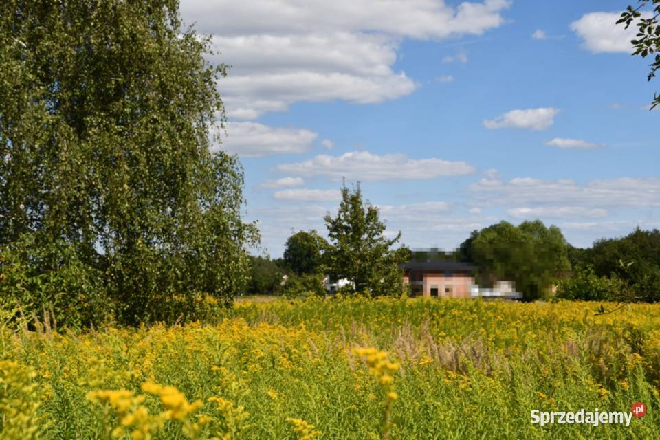 Działka rolna 43a Strażów podkarpackie sprzedam