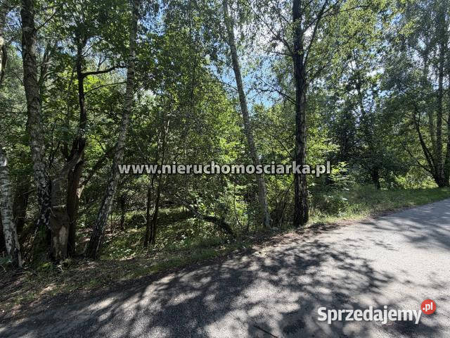 Działka Mszana 3550m2 sprzedam