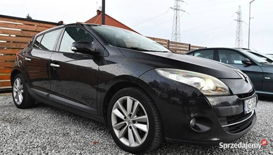 Renault Megane Kowalewo
