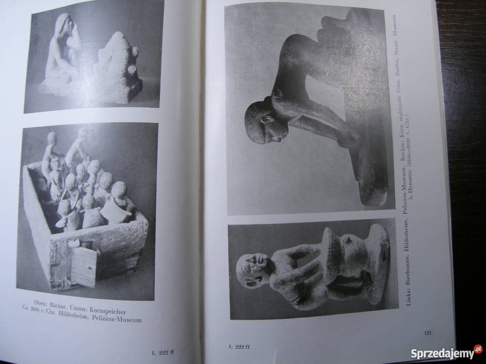 Die Weltgeschichte in 580 Bildern H G Wells