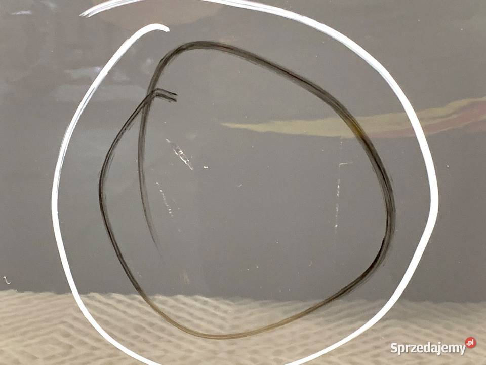 DRZWI PRAWY TYŁ SEAT LEON II Hatchback 0513 Drzwi sprzedam