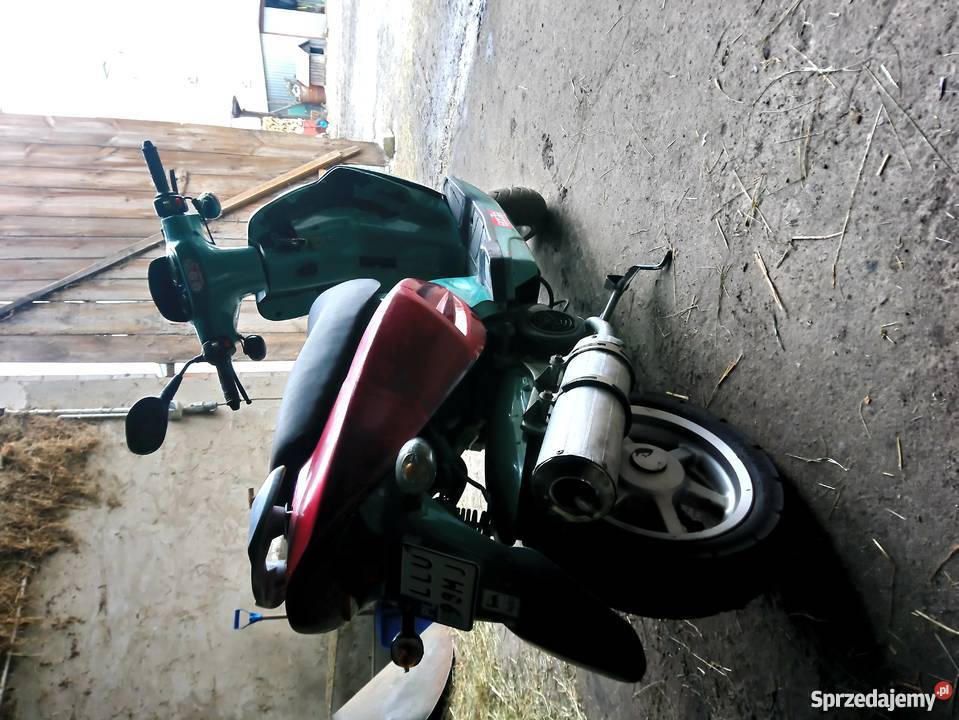 Longjia Alien 50 dwusuwowy Jeleniec