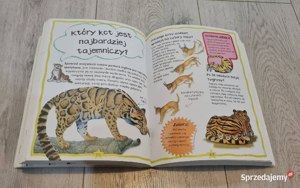 Książka Zwierzęta pytania i odpowiedzi Łódź sprzedam