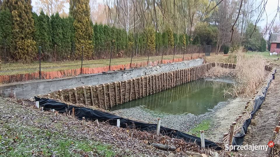 Faszynowanie stawów mazowieckie Grębków