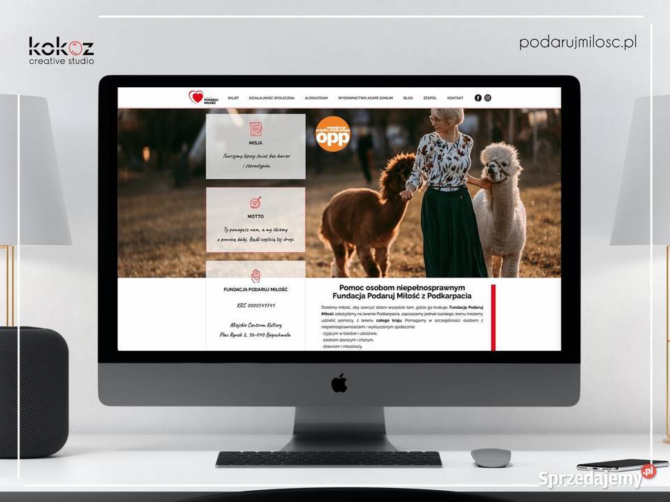 Strony Internetowe Rzeszów