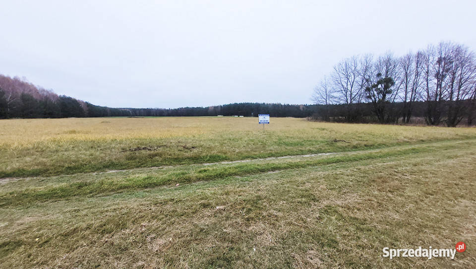 Malownicza działka 122 ha lesie Radawie opolskie