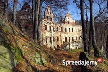 wynajme umeblowane mieszkanie niedaleko zamku N Liczba pokoi 1 Mieszkania Płonina