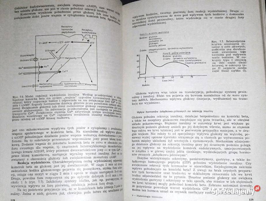 Diabetologia kliniczna Jan Tatoń