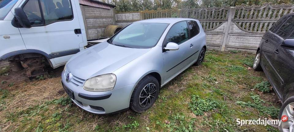 Volkswagen Golf V 14 benzyna 2004 bez wkładu srebrny