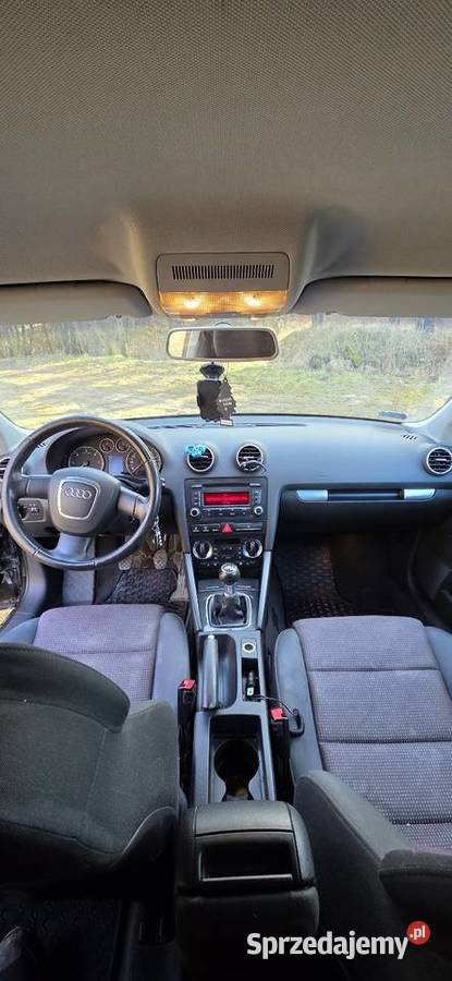 Audi A3 8P 19 Tdi BLS kurtyny powietrzne Choszczno