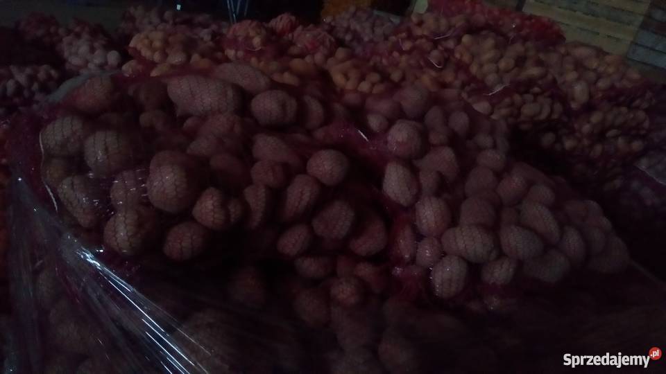 Sprzedam ziemniaki jadalne Marabell Bellarosa Borów-Kolonia
