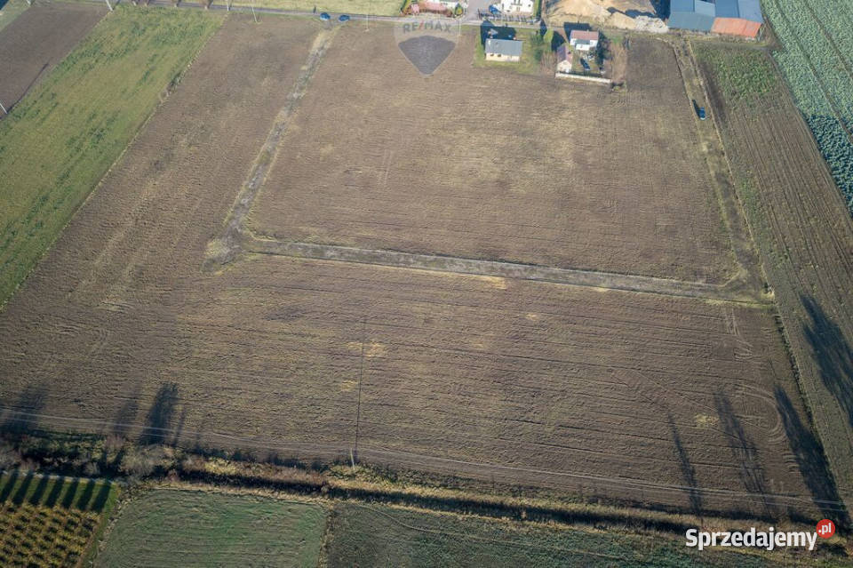 Na sprzedaż 32 ha Teren pod budowę osiedla Giżyce
