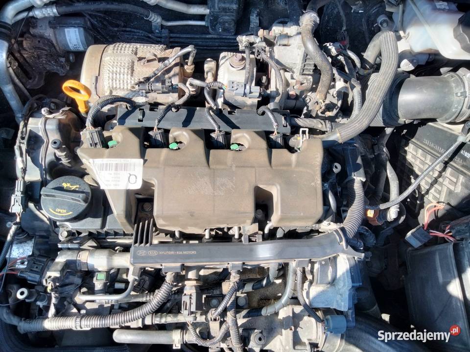 Sprzedam kia sportage 16 crdi 116 nieuszkodzony małopolskie Rzuchowa