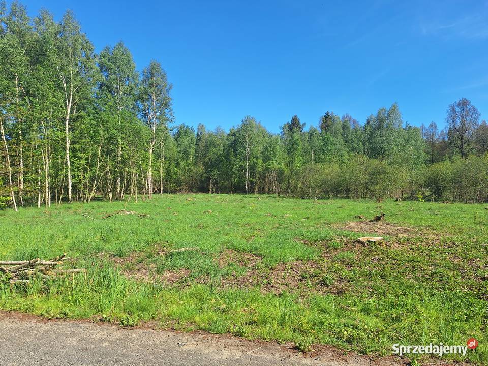 Działki w Małej Kamienicy Nieruchomości Stara Kamienica sprzedam